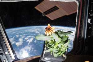 Space Farming: The Unspoken Benefits